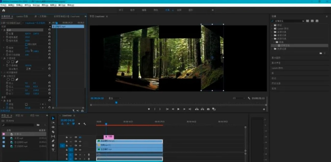 edit the image in pr